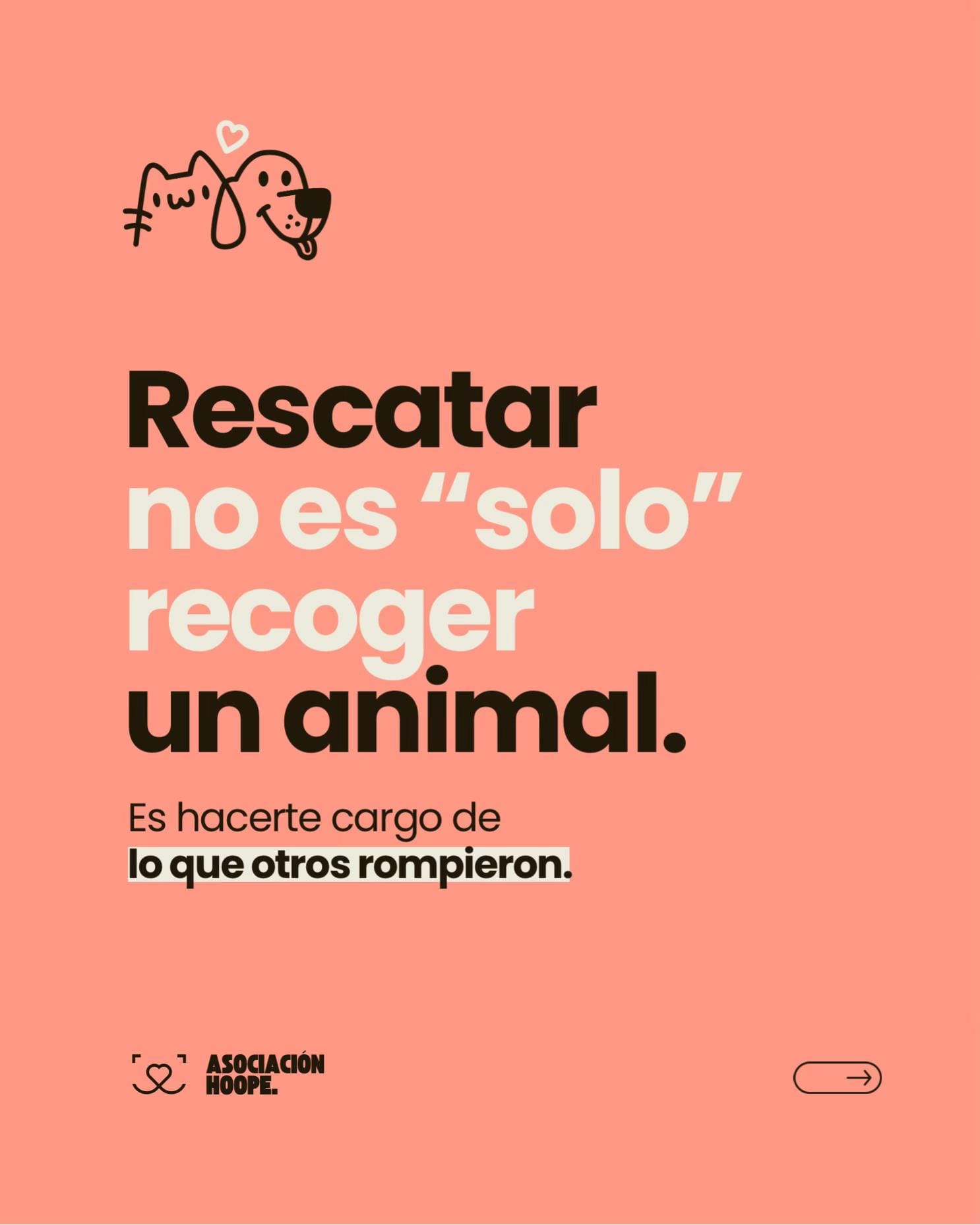 Post 5 by HOOPE Bienestar Animal on TikTok (video)