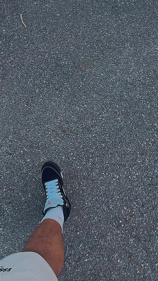 Post 7 by King Julius on TikTok (video)