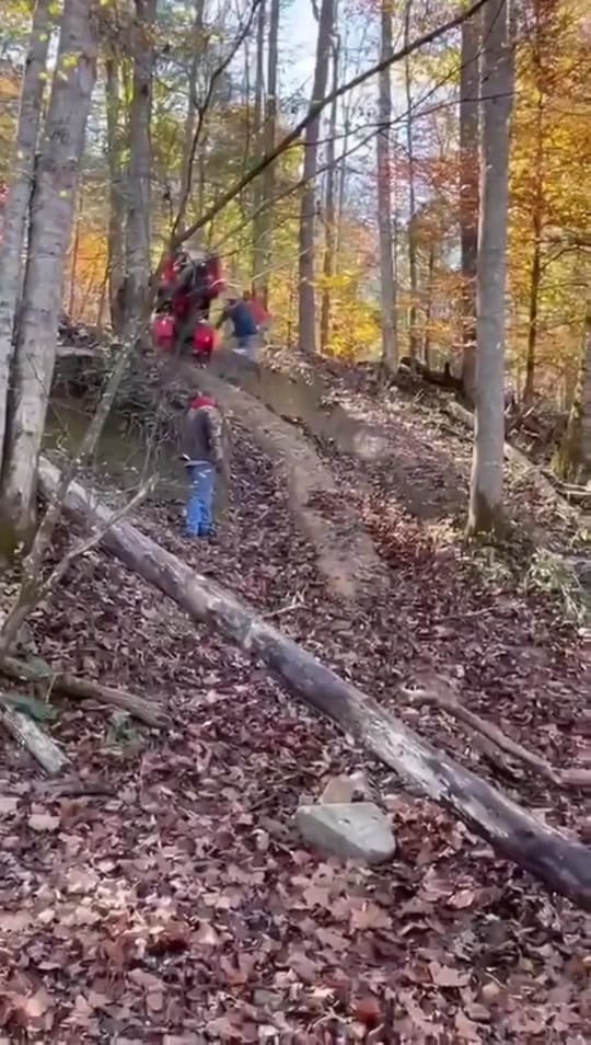 Post 2 by HartzelHandiwork on TikTok (video)