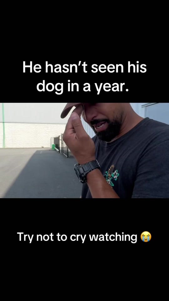 Post 9 by TheSatoProject on TikTok (video)