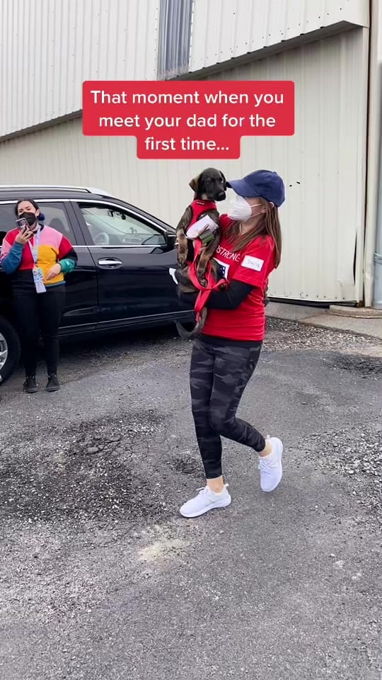 Post 10 by TheSatoProject on TikTok (video)