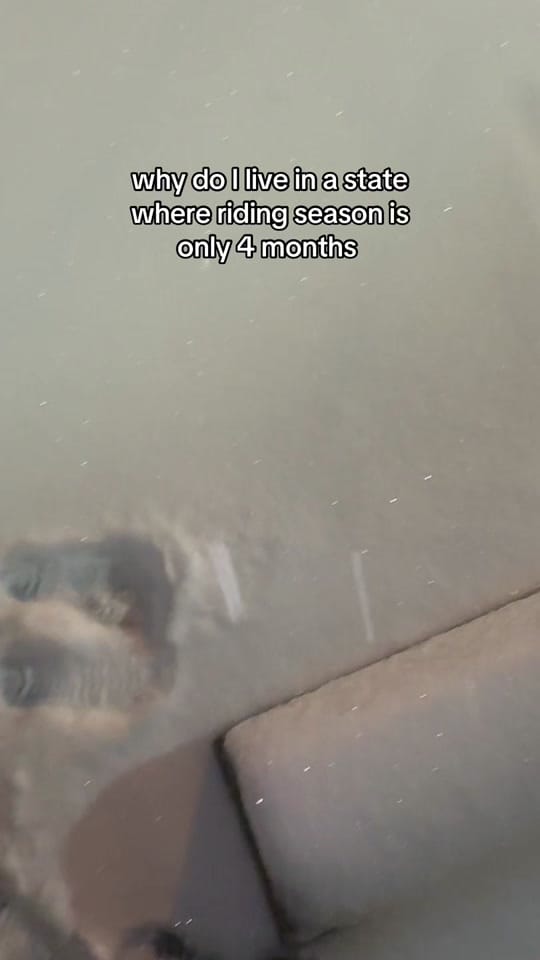 Post 6 by arriana on TikTok (video)