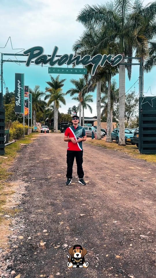 Post 6 by Cavid on TikTok (video)
