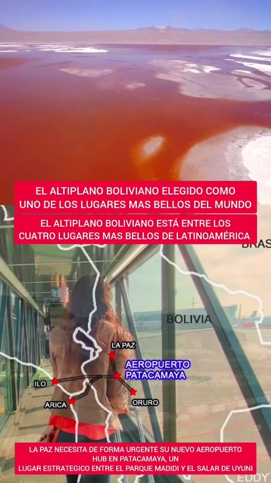 Post 1 by LEÓN CON MAESTRÍA on TikTok (video)