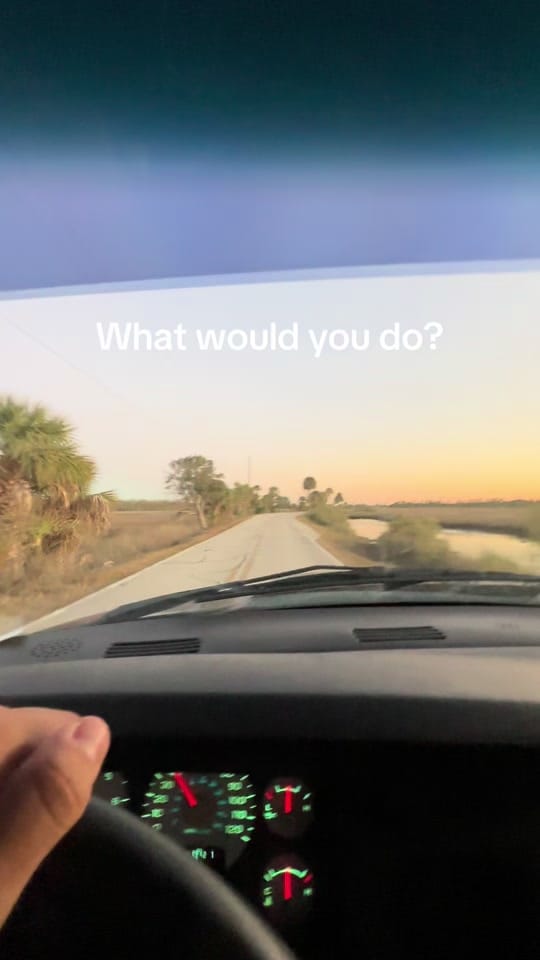 Post 10 by Donny Van Slee on TikTok (video)