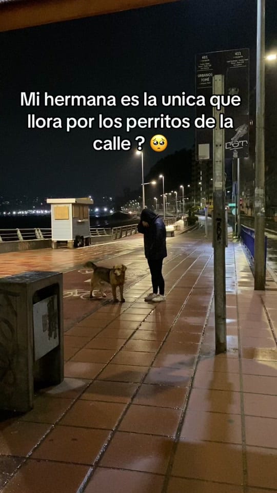 Post 10 by Gabriela on TikTok (video)
