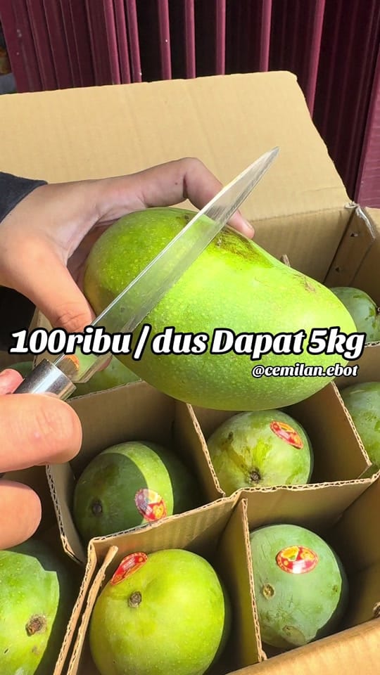 Post 8 by CEMILAN EBOT on TikTok (video)