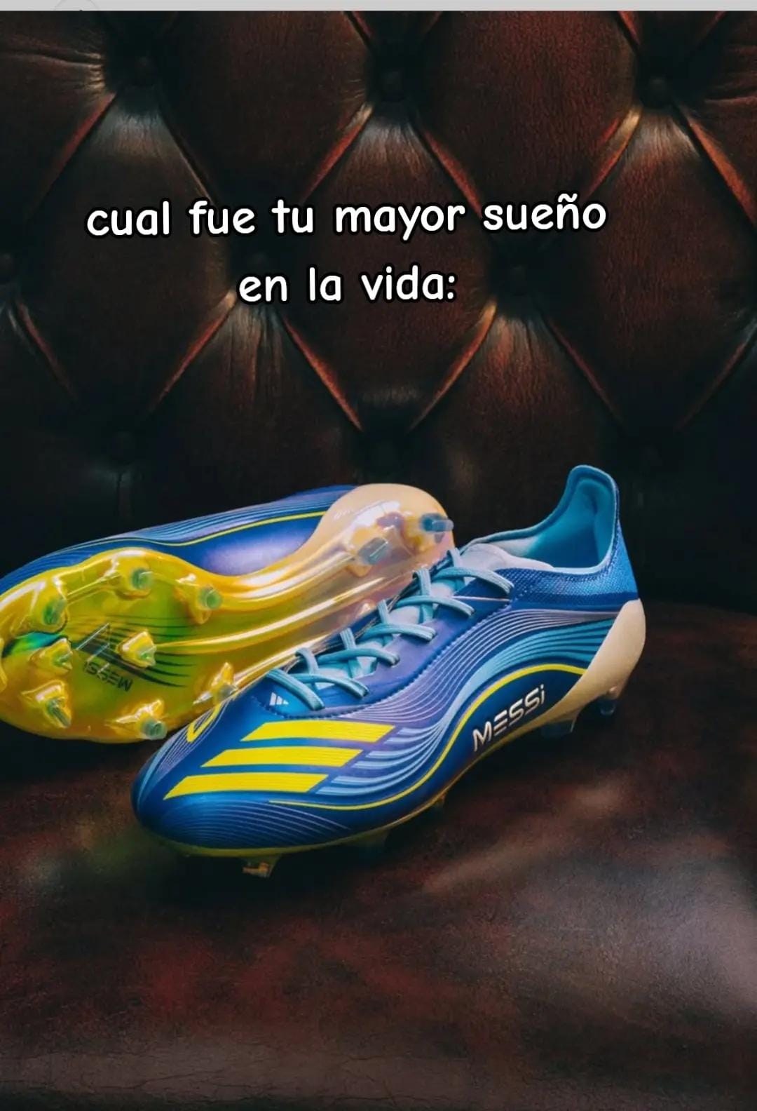 Post 7 by Deyvis Naupay⚽10 on TikTok (video)