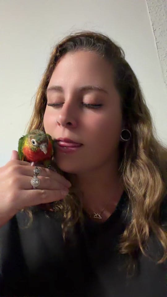 Post 6 by Laurel Truster on TikTok (video)