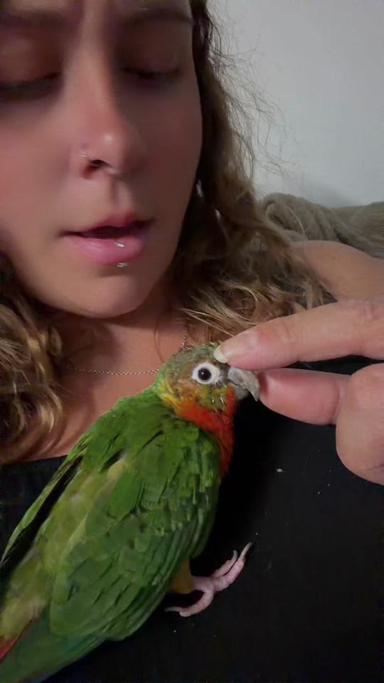 Post 2 by Laurel Truster on TikTok (video)