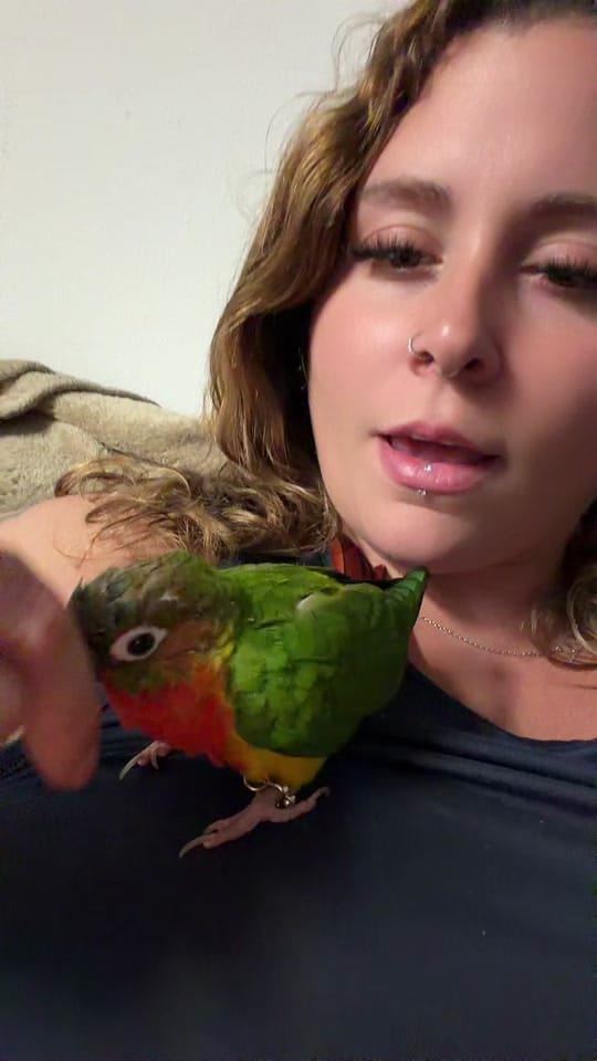 Post 4 by Laurel Truster on TikTok (video)