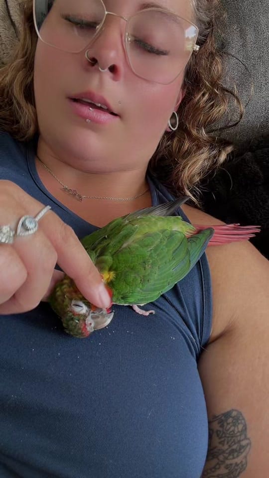 Post 3 by Laurel Truster on TikTok (video)