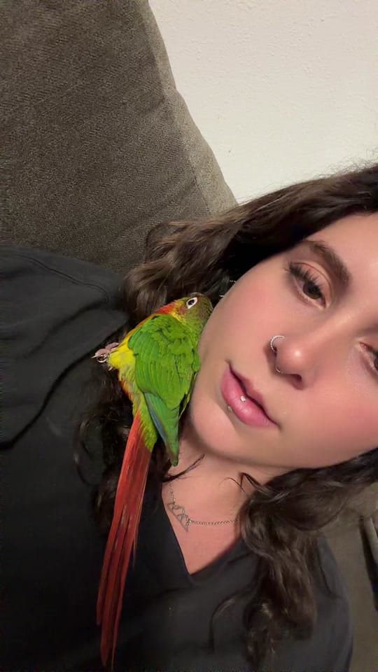 Post 7 by Laurel Truster on TikTok (video)