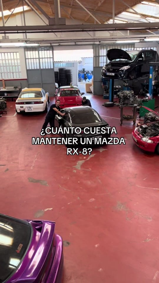 Post 8 by Pau Par2 on TikTok (video)