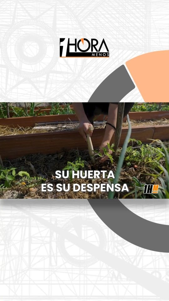 Post 7 by Una Hora Menos on TikTok (video)