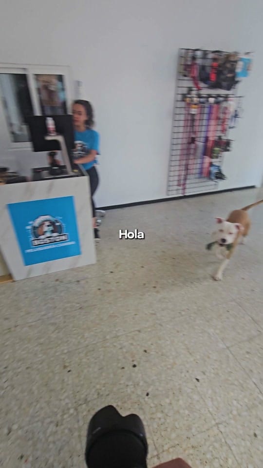 Post 6 by Jorge Martínez on TikTok (video)