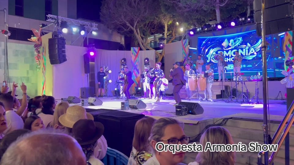 Post 10 by Verbenaty_fiestas💫💃🕺 on TikTok (video)