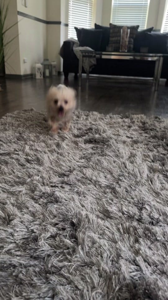Post 2 by Chanelle Tru on TikTok (video)