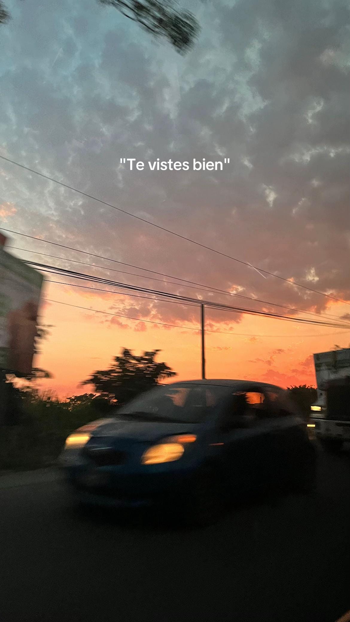 Post 7 by C A M I L A on TikTok (video)