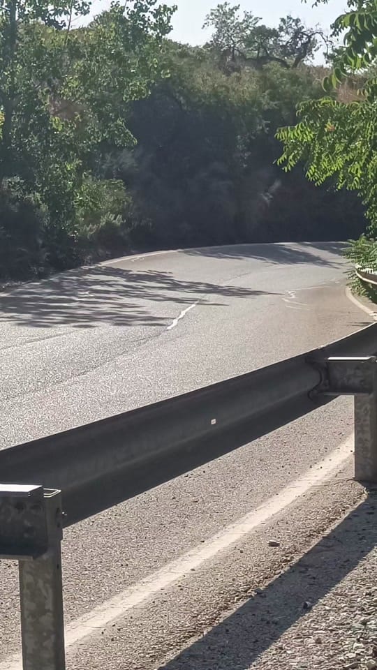 Post 7 by RallyALM on TikTok (video)