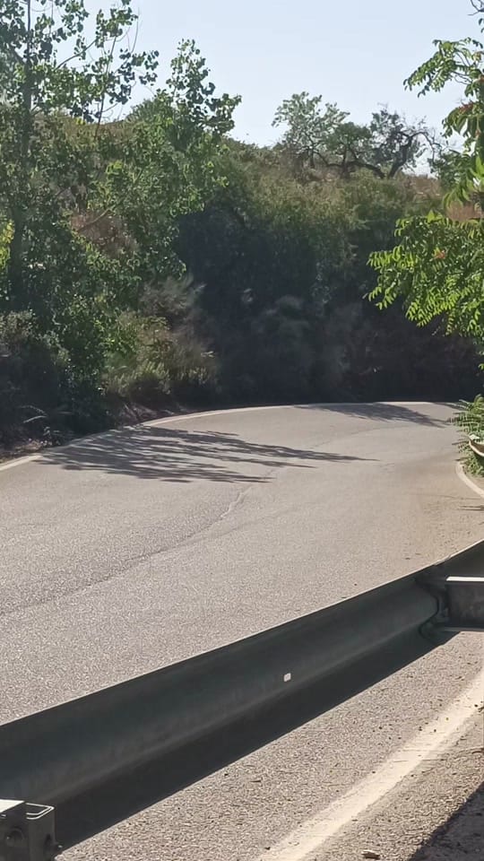 Post 1 by RallyALM on TikTok (video)