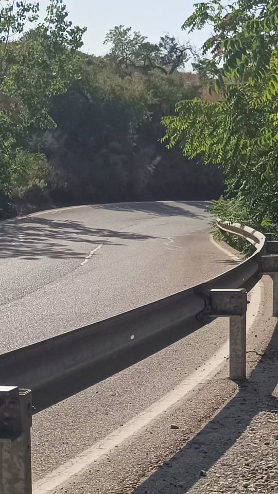 Post 4 by RallyALM on TikTok (video)