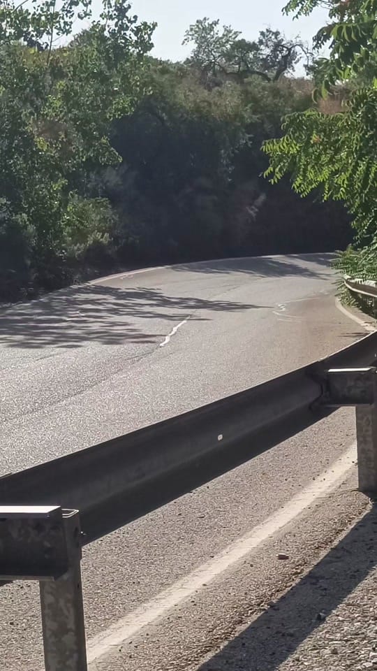 Post 6 by RallyALM on TikTok (video)