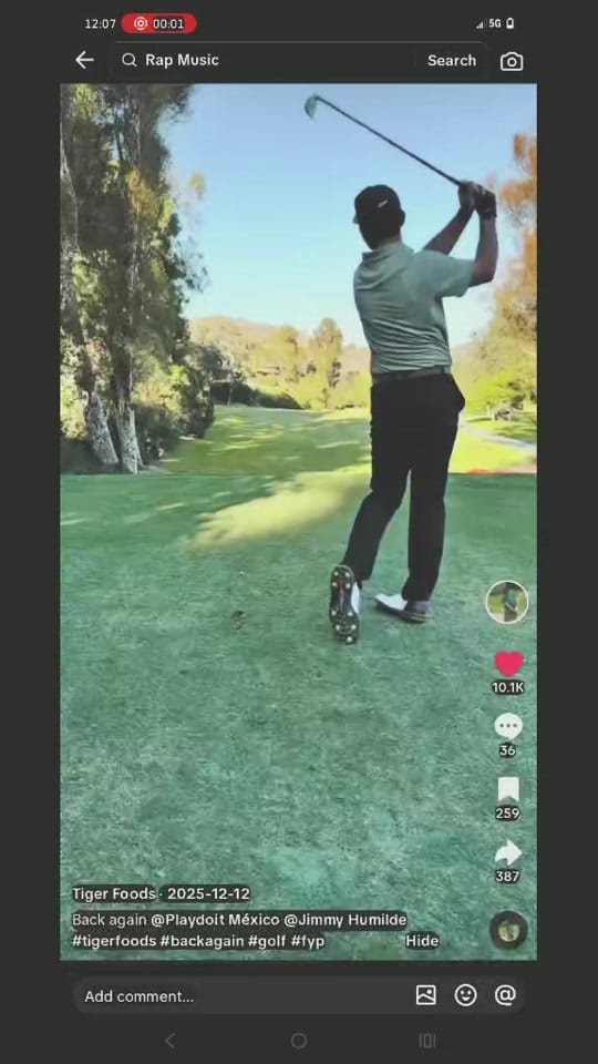 Post 7 by billybobby artist on TikTok (video)