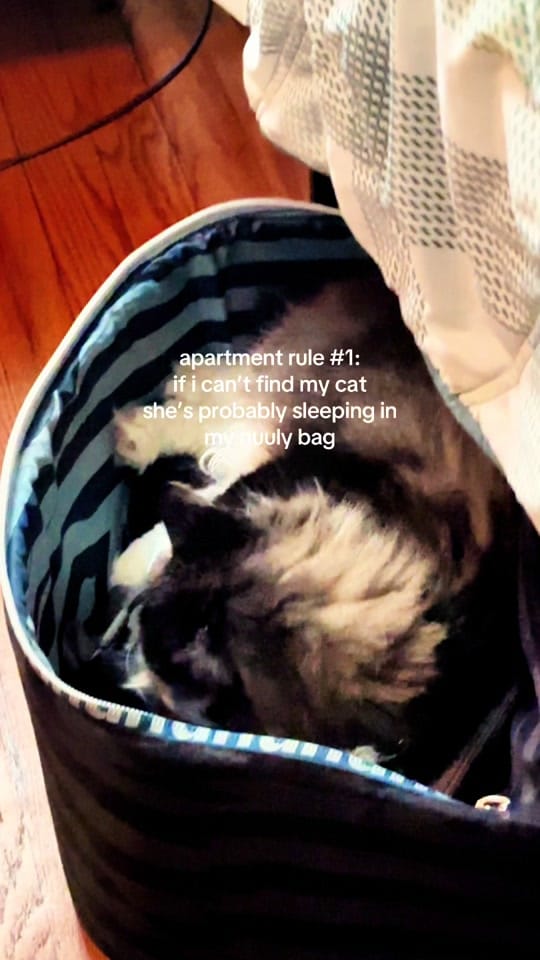 Post 1 by Madeline Miner on TikTok (video)