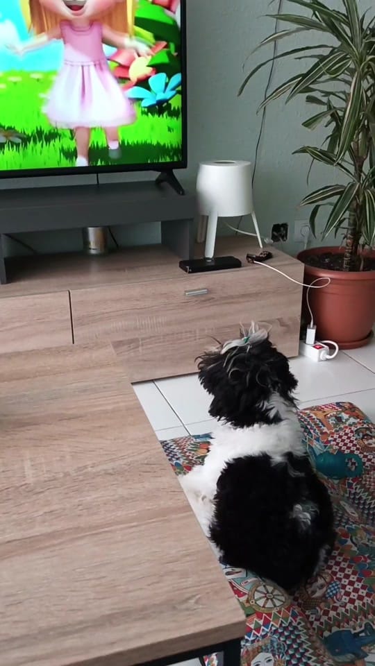 Post 10 by Pepi Perez Perez on TikTok (video)