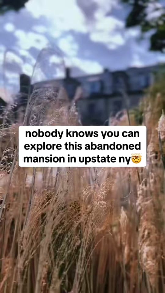 Post 2 by Kayla on TikTok (video)
