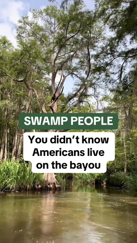 Post 10 by Kayla on TikTok (video)