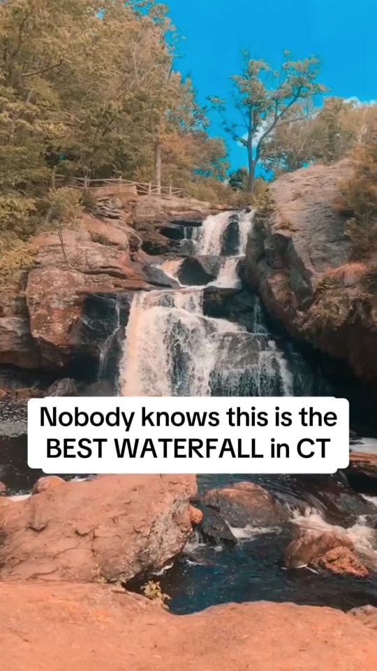 Post 6 by Kayla on TikTok (video)
