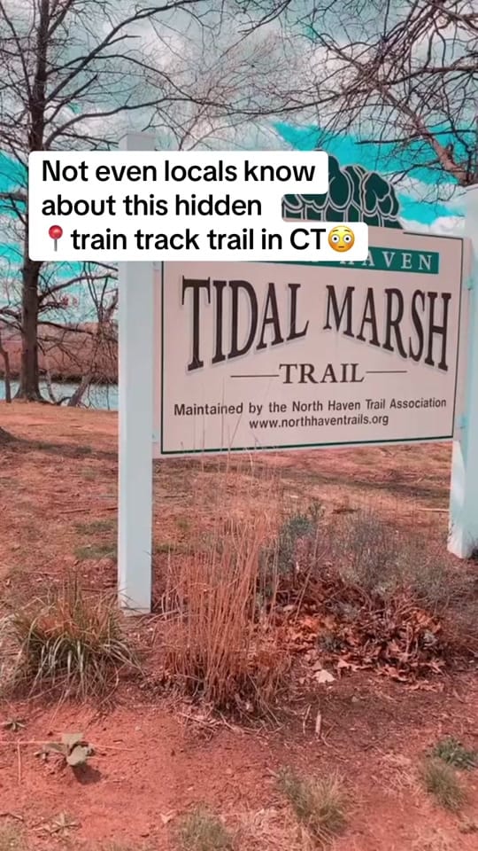 Post 4 by Kayla on TikTok (video)