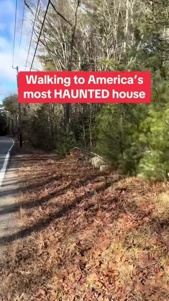 Post 8 by Kayla on TikTok (video)