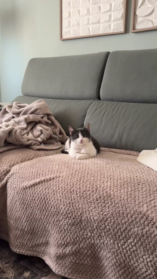 Post 6 by Ismael Chaka on TikTok (video)