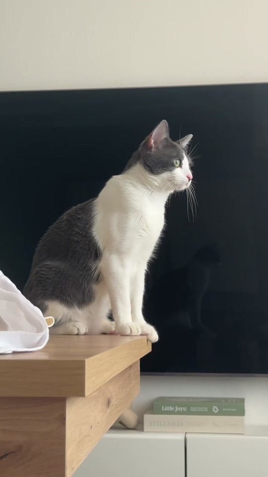 Post 1 by Ismael Chaka on TikTok (video)