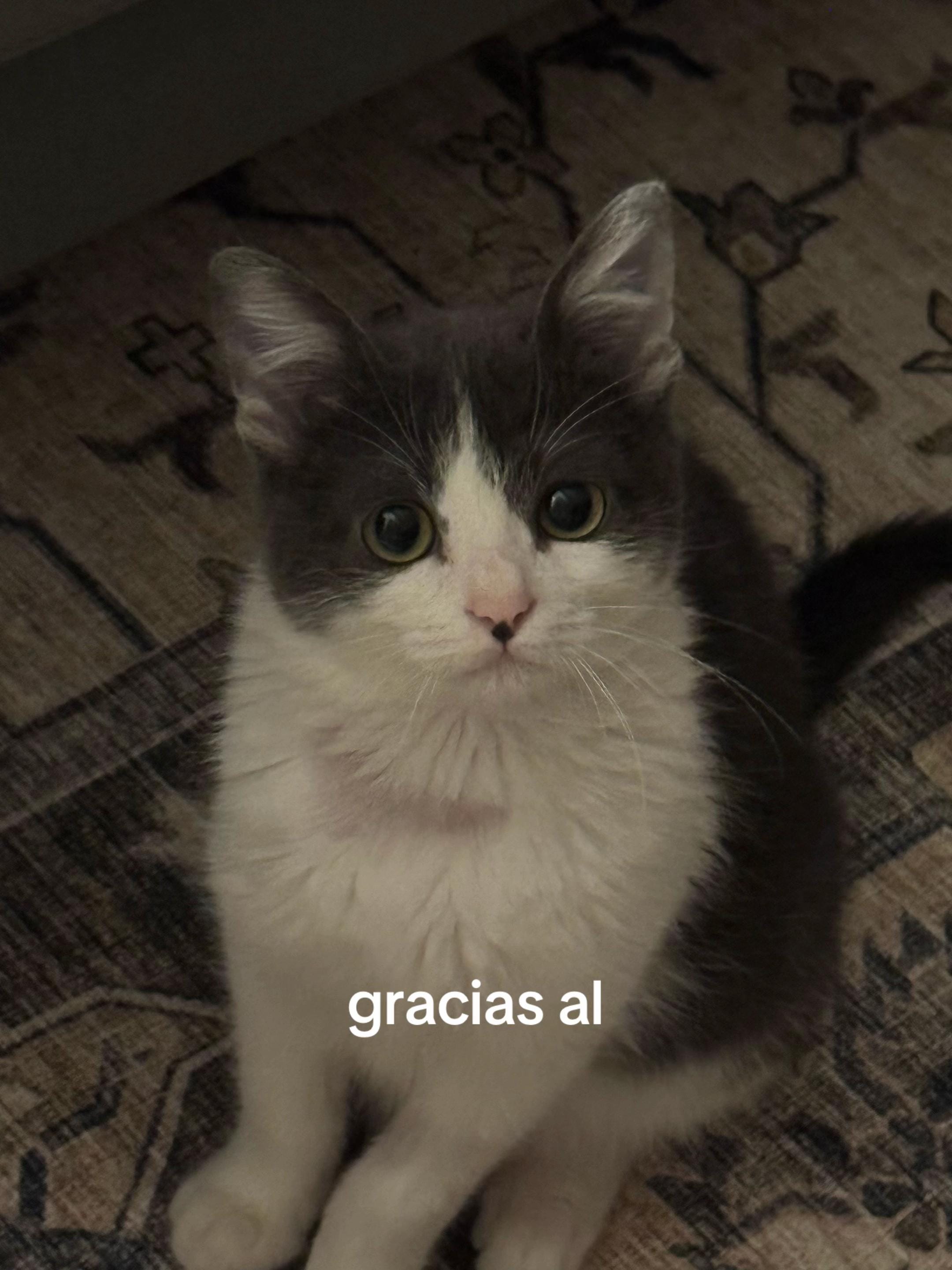 Post 7 by Ismael Chaka on TikTok (video)