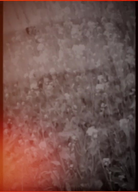 Post 7 by Dslr Badshah on TikTok (video)