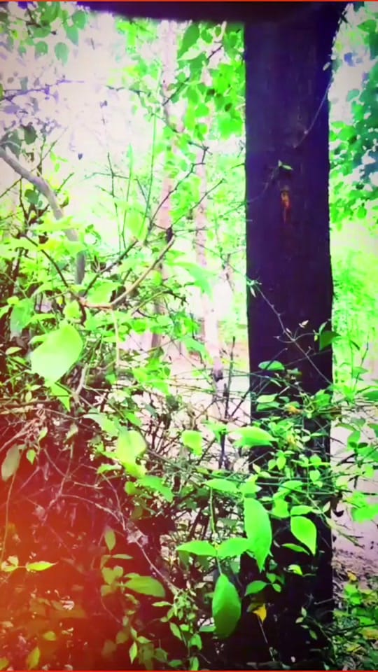 Post 4 by Dslr Badshah on TikTok (video)