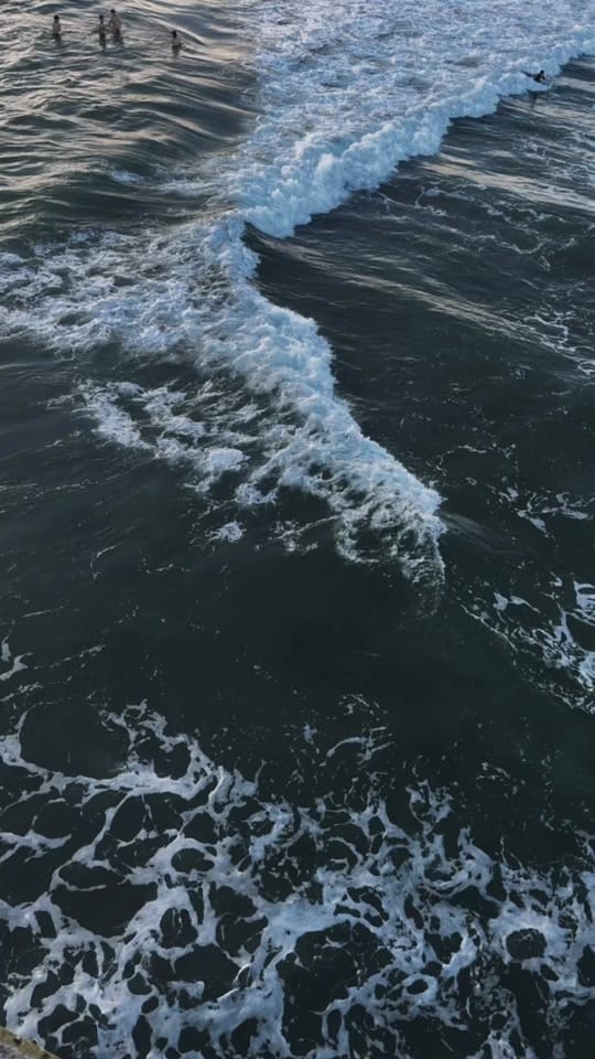 Post 7 by a5c3nd3d1 🤍🪽 on TikTok (video)