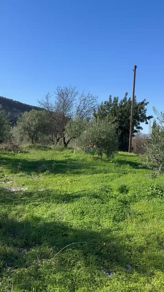 Post 9 by elpellejashow on TikTok (video)