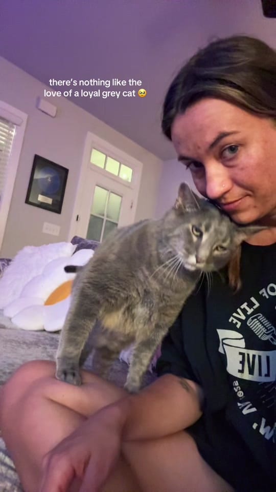 Post 2 by Lexie Hayden on TikTok (video)