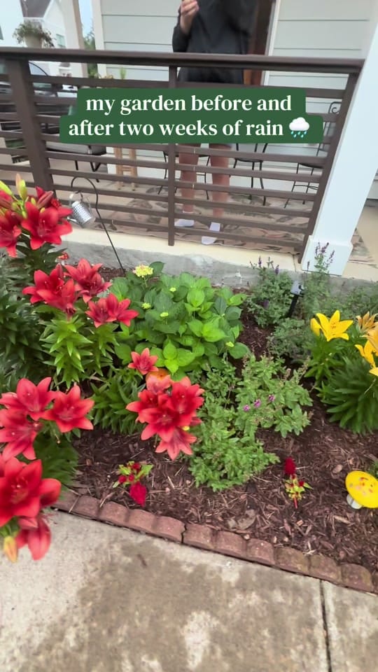 Post 7 by Lexie Hayden on TikTok (video)