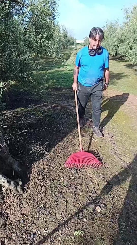 Post 8 by carmona on TikTok (video)