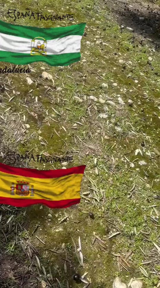 Post 5 by carmona on TikTok (video)
