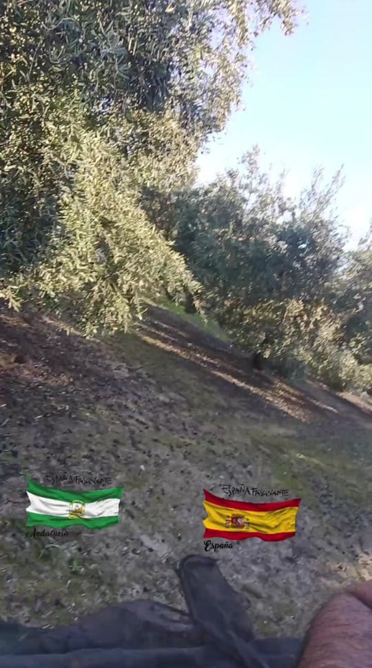 Post 10 by carmona on TikTok (video)