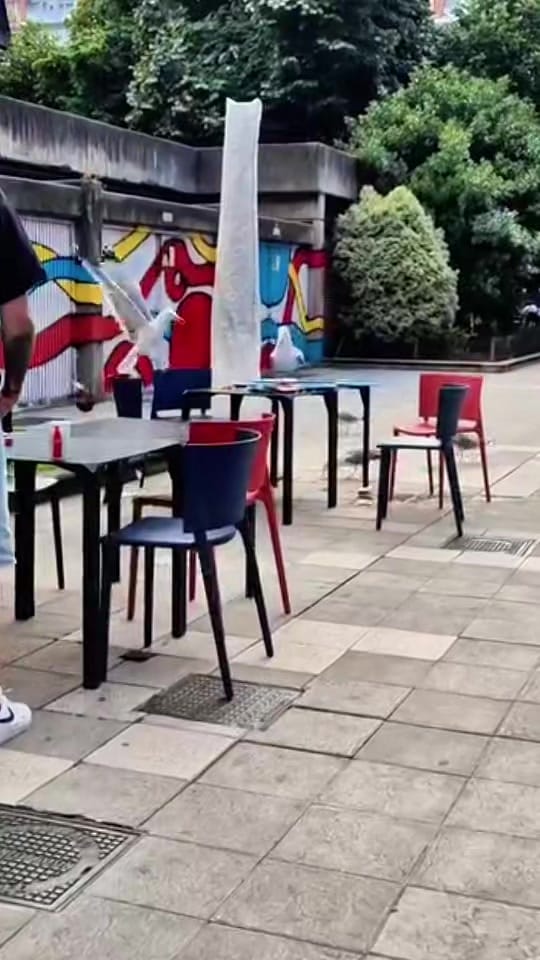 Post 3 by Amigos de Gijón🌐 on TikTok (video)
