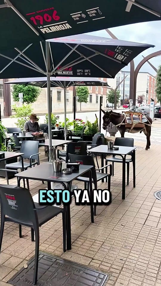 Post 7 by Amigos de Gijón🌐 on TikTok (video)
