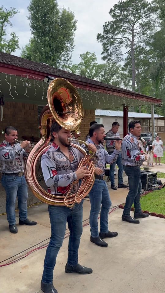 Post 7 by Banda de Bandas on TikTok (video)